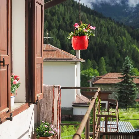 Dalla Dora- A Peaceful Place In The Dolomites Apartament