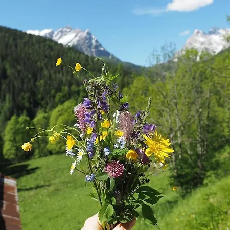Dalla Dora- A Peaceful Place In The Dolomites